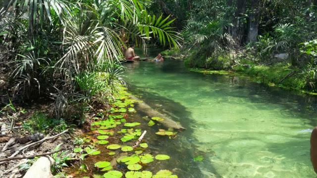 Guarana Da Claudia Homestay Santarem